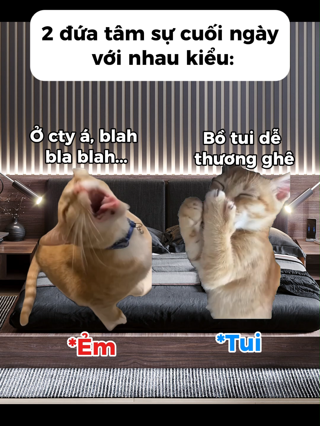 Ẻm mà hỏi về đồng hồ, xe cộ, siêu nhân là nói tới mai😆😆#haihuoc #meo #mememeo #dethuong #doisong #memes #capdoi #vuinhon