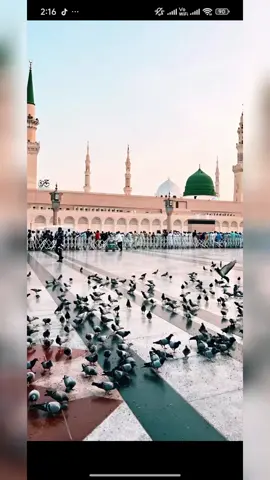 Da madini habibiah
