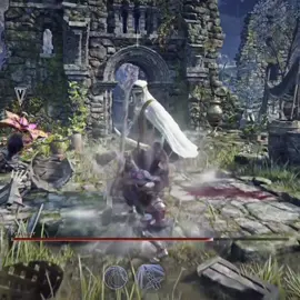 Nightfarer catchers combo #eldenring #fyppp #fromsoft #castle #castlecrashers #holduptok #nightreign 