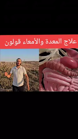 #علاج #طنين_الأذن #جيوب_انفيه #fyppppppppppppppppppppppp #مشاهير_تيك_توك #مالي_خلق_احط_هاشتاقات #هرمون_الذكورة #هرمون_النمو 