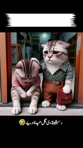 please Tiktok team don't under review my videos please 🙏@ᒪᗩᎥᗷᗩᗯᖇᎥ丅ᗴᔕ🥰 @TiktokPakistanOfficial @zofiaa0314 #viral #foryou #fyp #funny 