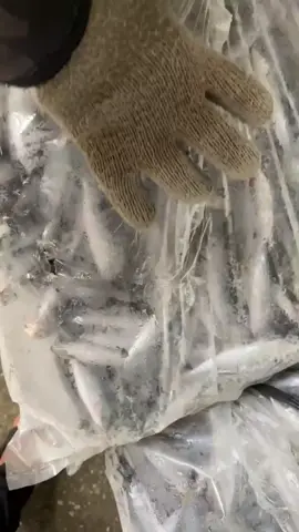 🔥🔥🔥