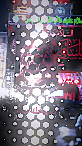 ابا عبدالله 🙂‍↕️❤️‍🔥 #الامام_الحسين #الامام_الحسين_عليه_السلام🍂 #الامام_الحسين_عليه_سلام #الحسين_ثورة_خالده #الحسين_عليه_السلام #الحسين_نهضة_وعي_واصلاح #الامام_الحسين_عليه_السلام💕🕊😍 