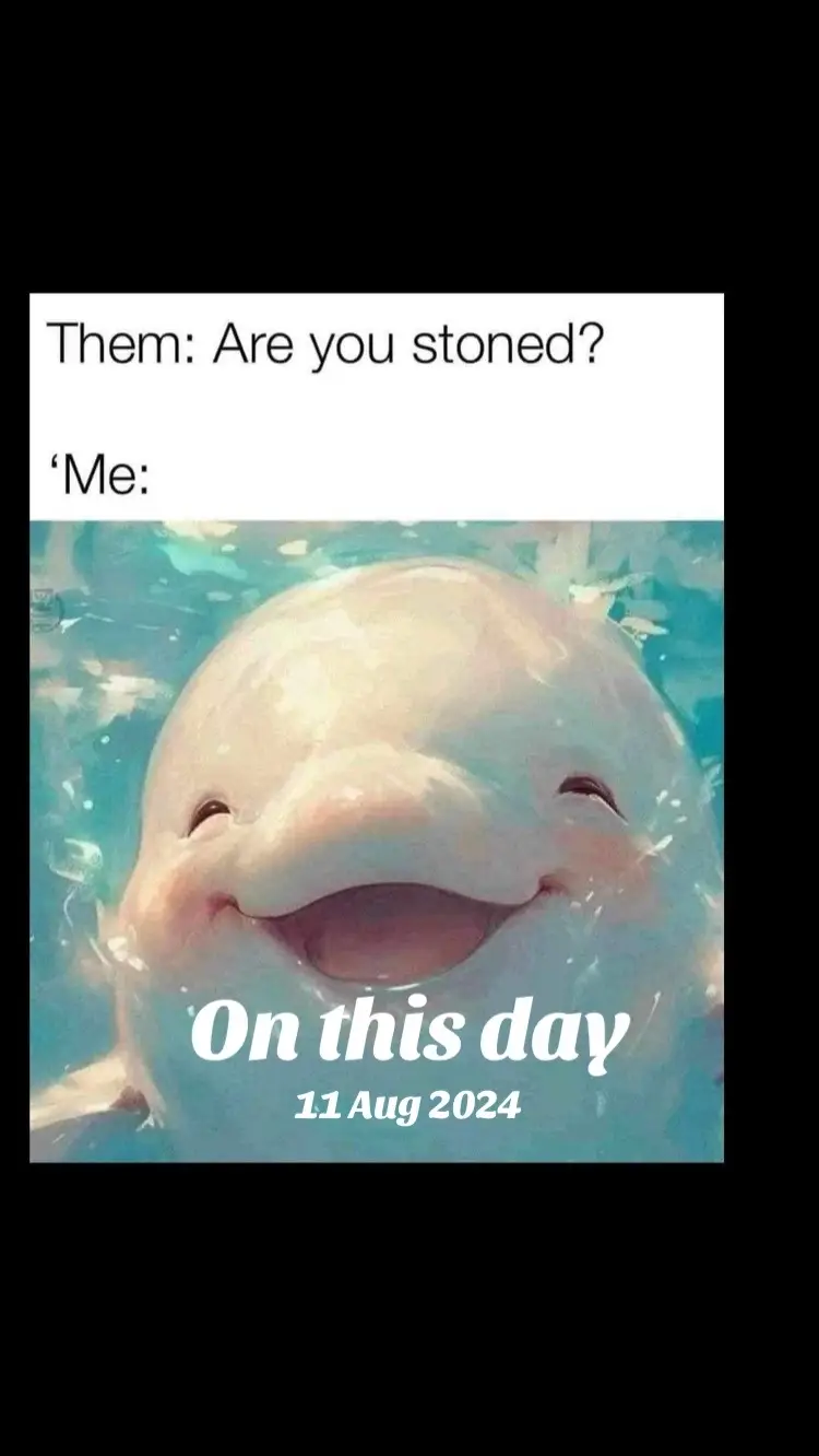 #onthisday 