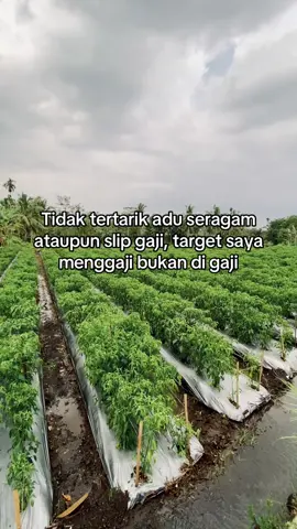 #petanimilenial 