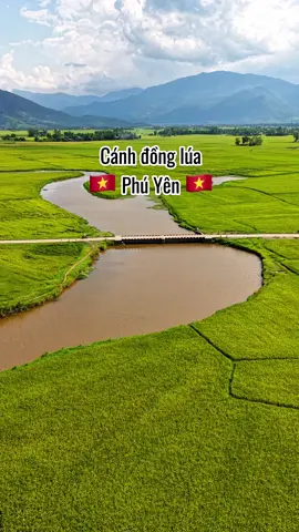 Cánh đồng lúa tại Phú Yên. Khung cảnh như đưa ta về với tuổi thơ, ngồi nhà mái ngói đỏ giữa cánh đồng lúa chín vàng ❤️. #xh #vr #phuyen #dulichphuyen #dulich #travel #tuyhoa 