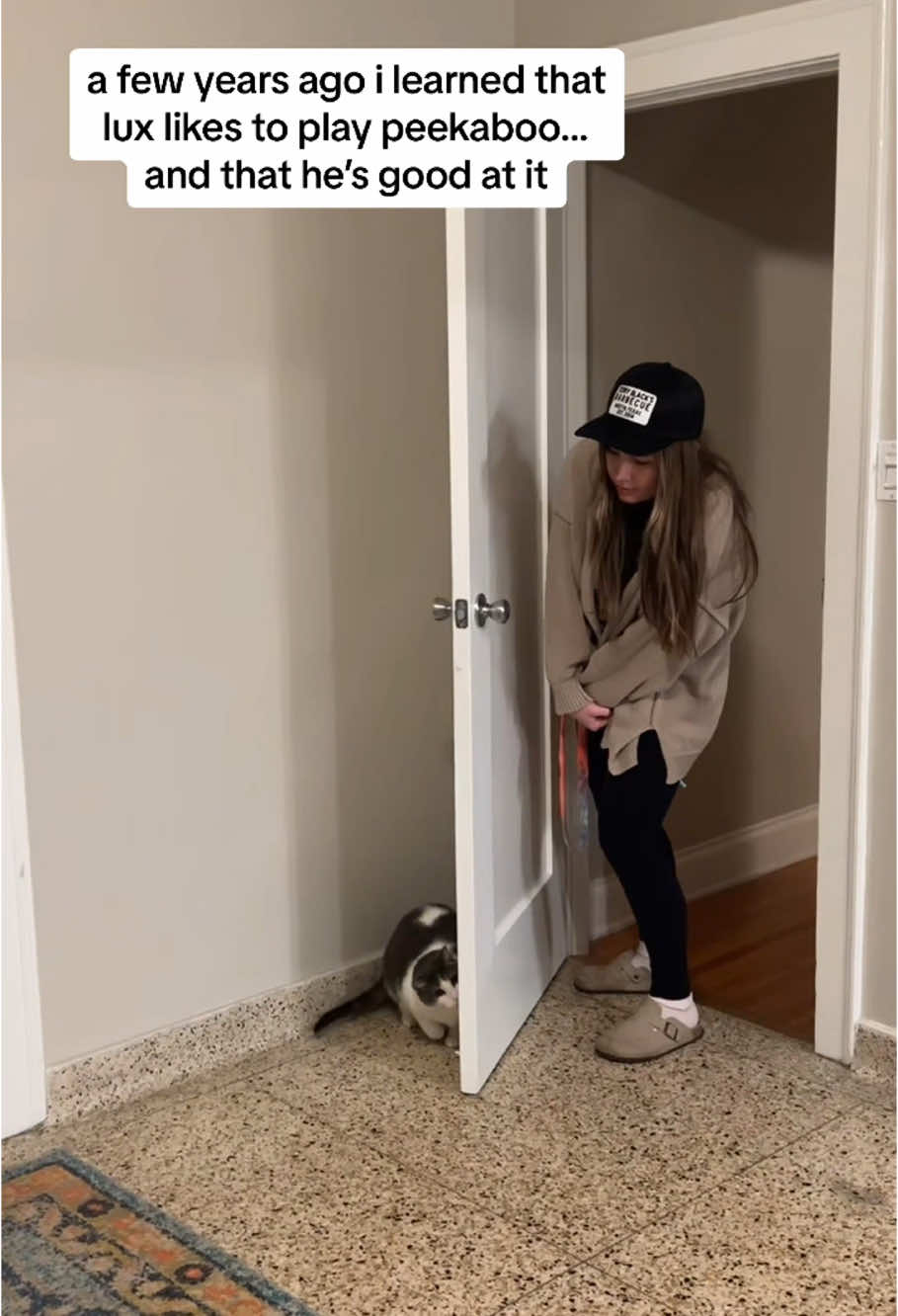 Your cat likes to play hide and seek.#funnycats #funnyanimals #petvideos #cat #catsoftiktok #fyp #usa #longervideos