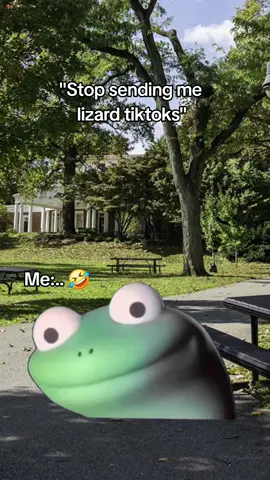 You annoy me ima annoy u right back 🤣 #Meme #MemeCut #CapCut #trending #fypシ゚viral #fyp #foryou #lizard 