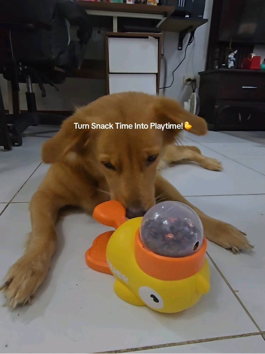 🐤 Play + Feed in One Adorable Package — Interative Pwt Food Dispenser Toy #smartpettoy #interactivetoys #smarttoys #fooddispenser #dogtoy #toys #duckfeeder 