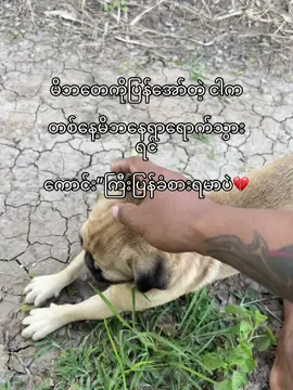 Sorry mon 🥺#fypシ゚ 