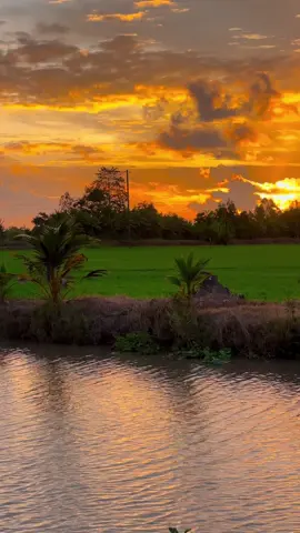 Chiều là anh ghé qua hỏi thăm #binhyen #mientayquetoi #dilamcogivui #68kiengiang #xuhuong 