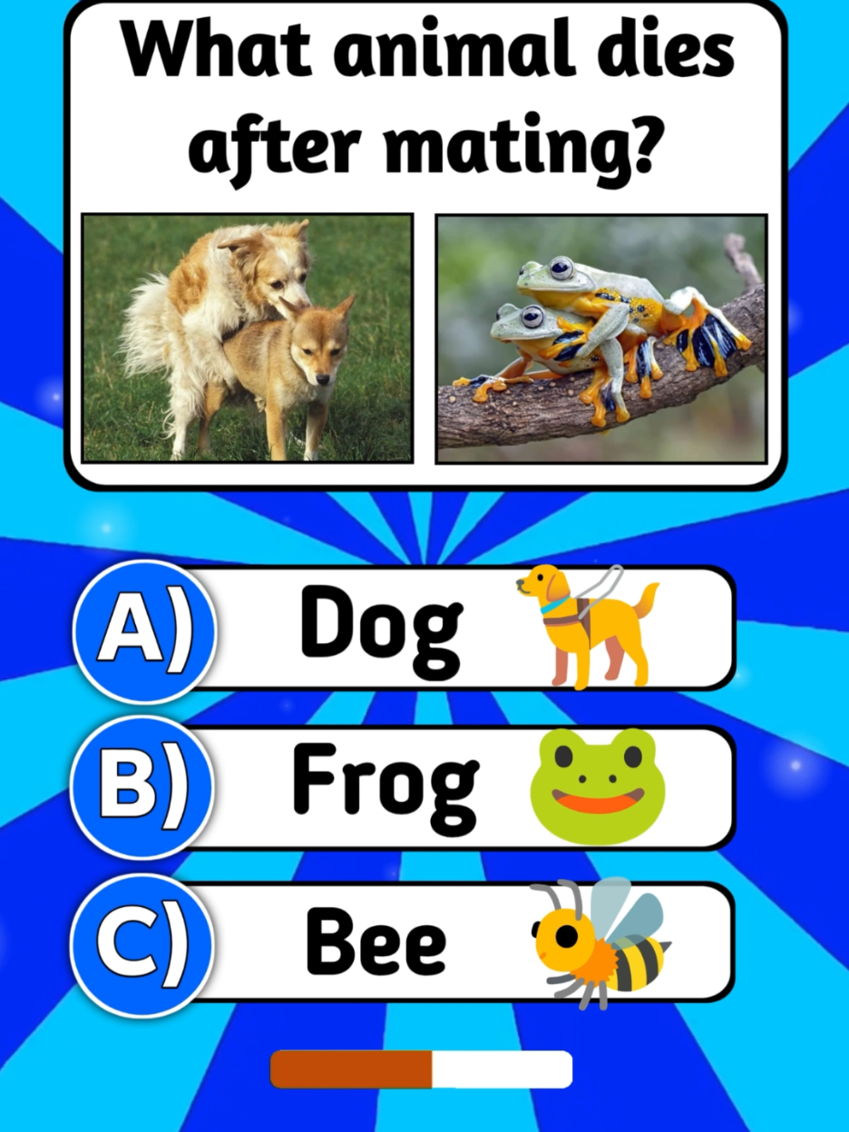 Animals Travia Quiz 🐝🦖🐸🦧🦍........... • • • • • • • • • • • • • • • • • • • • • • • • • • • • • • #quizchallenge  #quiztime  #mreaglequiz  #cocacola  #quiz     
