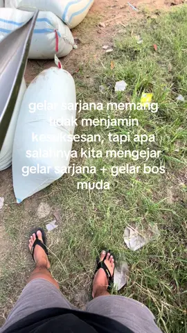 🔥#sppekalongan #fypシ゚ #foyoupage #padidarat🌾 #gabahbalap🌾 
