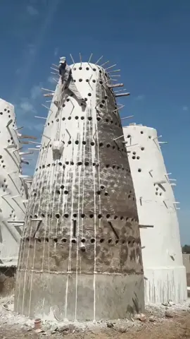 Do you know what the Egyptian pigeon towers are made of?#fyp #tiktok #foryou #viral #funny #trivia