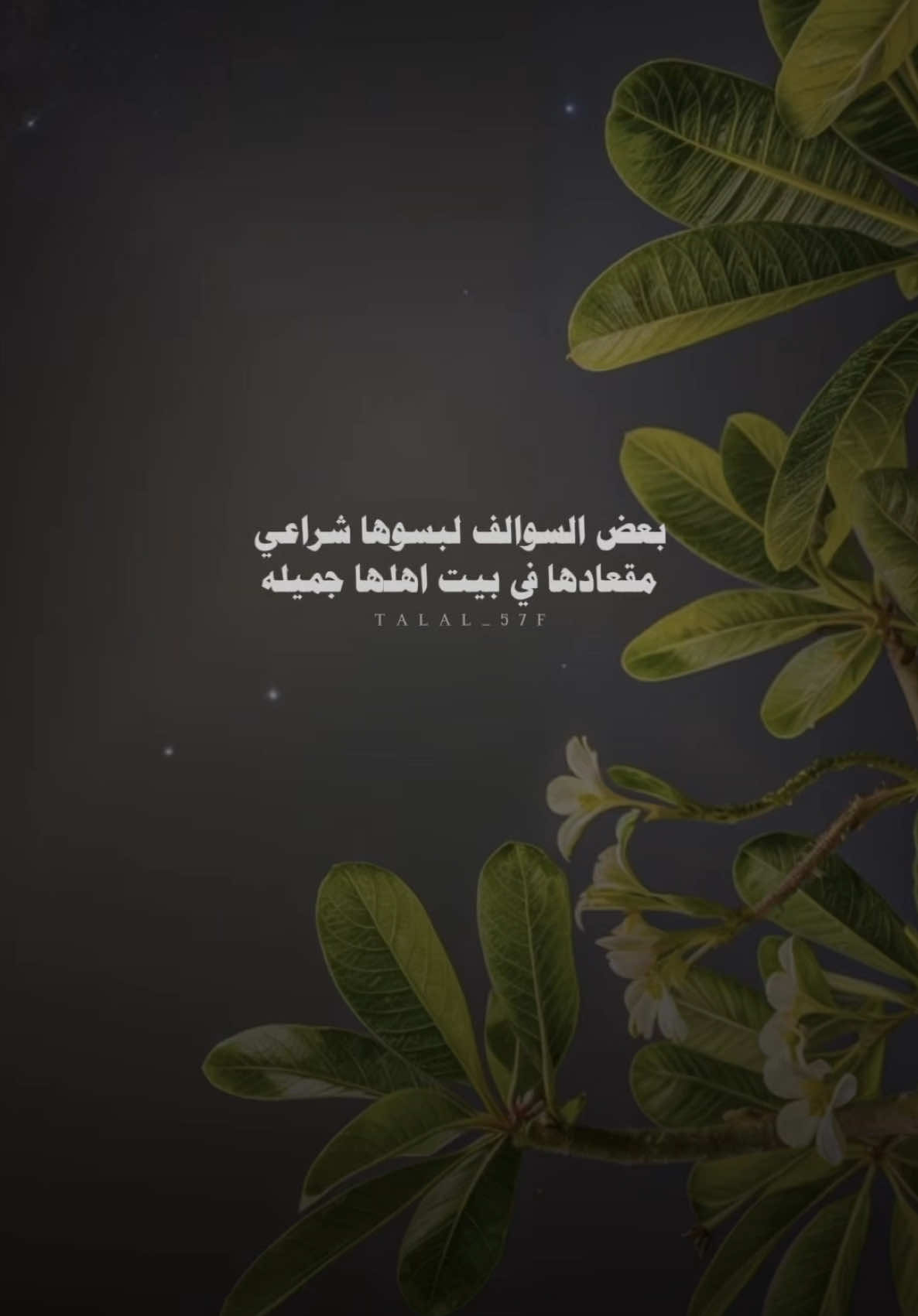 بعض السوالف لبسوها شراعي #مصلح_بن_عياد #بدون_موسيقى #اكسبلور #شعر #شيلات #fyp #explore 