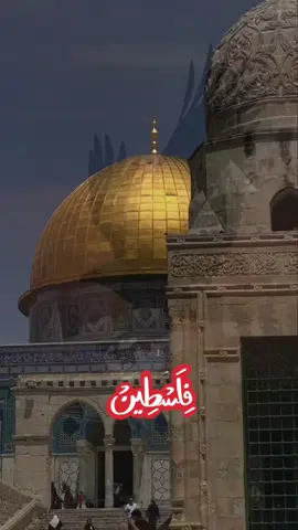 يا فلسطين لا تنادي عليهم #fyp #viral #foryou #trending 