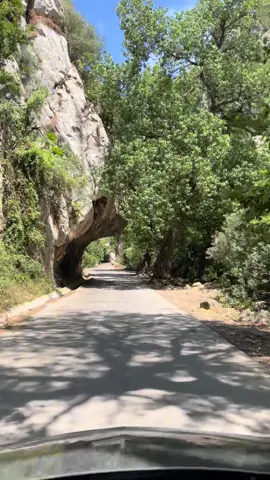 #jijel_____algér⚡❤ #jijel18 #algerie🇩🇿 #tunisia🇹🇳 #taza_jijel 