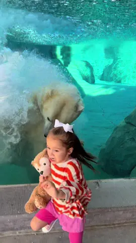 We got to visit the polar bears at the zoo in Winnipeg. 