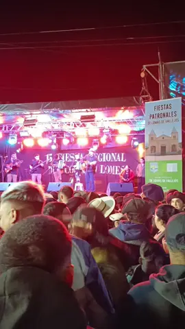 Fiesta Regional del Cordero.Lomas de Vallejos. Ctes