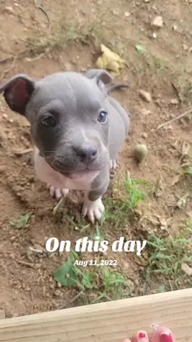 #onthisday
