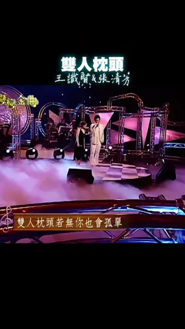 雙人枕頭#王識賢 &張清芳#台語#經典音樂#推薦分享