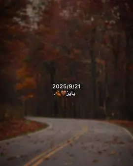 #fyp #greenscreen #foryou #blnndd پایز/autumn🤎🍂