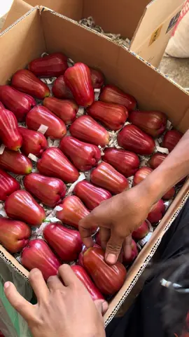 Budal neh ✈️ #promomakanmerdeka #jambucitrajumbo #jambucitra #citrapurbalingga #jambu 