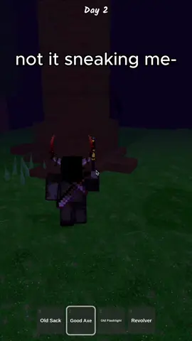 NO HATE TO THE PERSON I WAS FIGHTING, I just thought it would be a funny idea making this! #fyp #fyf #robloxfyp #roblox #robloxbaddies #baddies #baddie #99nightsintheforestroblox #99nights 