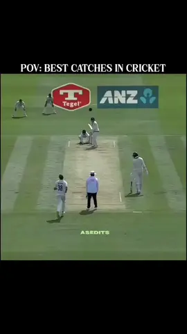 Which one is the best catch? |🎶🥵| #cricket #bestcatch #englandcricket #uk #benstokes #gleanphllips #asedits56 