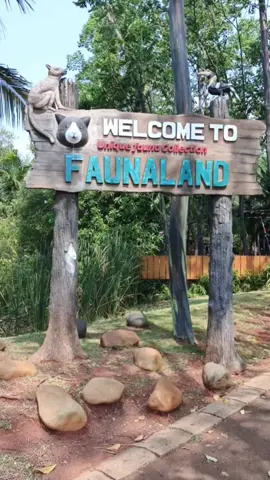 Harus banget agendakan bersama keluarga liburan ke Fauna Land. Karena bisa interaraksi dengan hewan secara langsung, bisa mengedukasi si kecil dan masih banyak manfaatnya❤ @faunalandancol  #Liburan #faunaland #faunalandancol #faunalandecopark #edukasi #interaksibersamasatwa #ancoltamanimpian   #SharingToCaring 