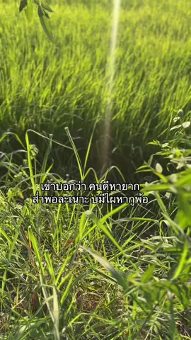 #ยืมลงสตอรี่ได้ #fyp 
