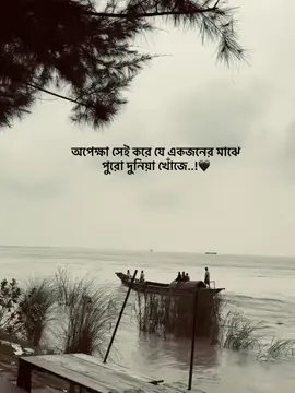 অপেক্ষা সেই করে, যে একজনের মাঝে পুরো দুনিয়া খোঁজে..!❤️‍🩹 . . . . . . . . .#CapCut #bdbangladesh #onthisday #foreyou #onthisday #bdbangladesh #bdbangladesh @Prince Akid @💥🍁 🇲 🇺 🇳 🇳 🇦 🥱😎 