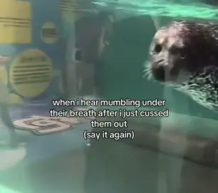 #fish #petty #meme 