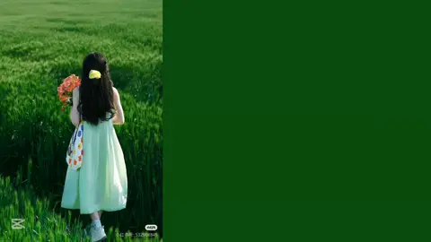 love ♡💚 #lovelovelove #chinesesong #foryou #mmsub #lyriccrdပါဗျ #join #fypシ 