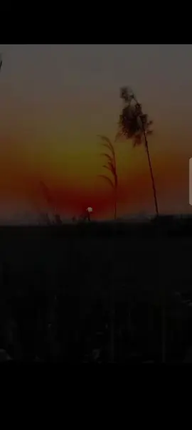 #الجوا🖤😪 