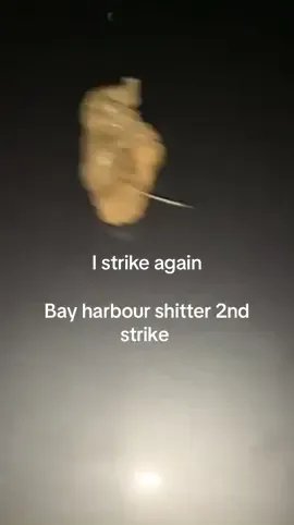 Bay harbour shitter 2nd strike #viral #bayharbourshitter #fyp 