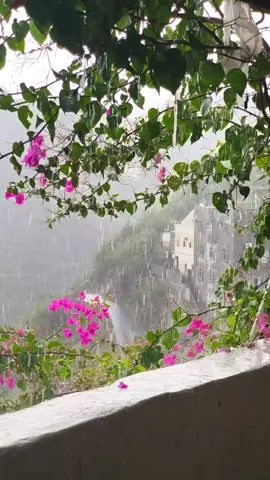 يارب لك الحمد اللهم أدم علينا نعمه الأمطار والخير يارب