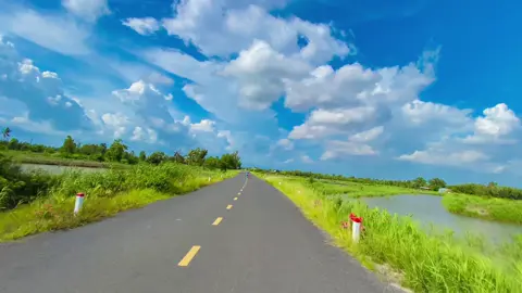 Trăng sầu gọi bến sông buồn #xuhuong #videochil #canhdep #canhdepthiennhien #71bentre 