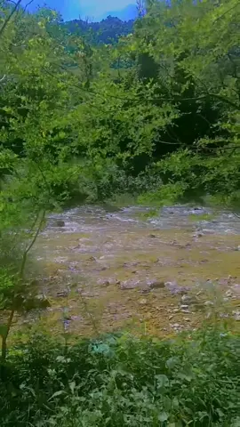 طشة العيلة مافي احلى منها ❤️❤️