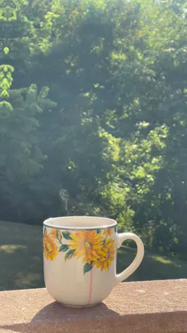 Soaking it up cause the countdown is now on😭😭😭.  Back to school soon.  #schoolnurselife #nursesoftiktok #publicschoolnurse #deer #coffee