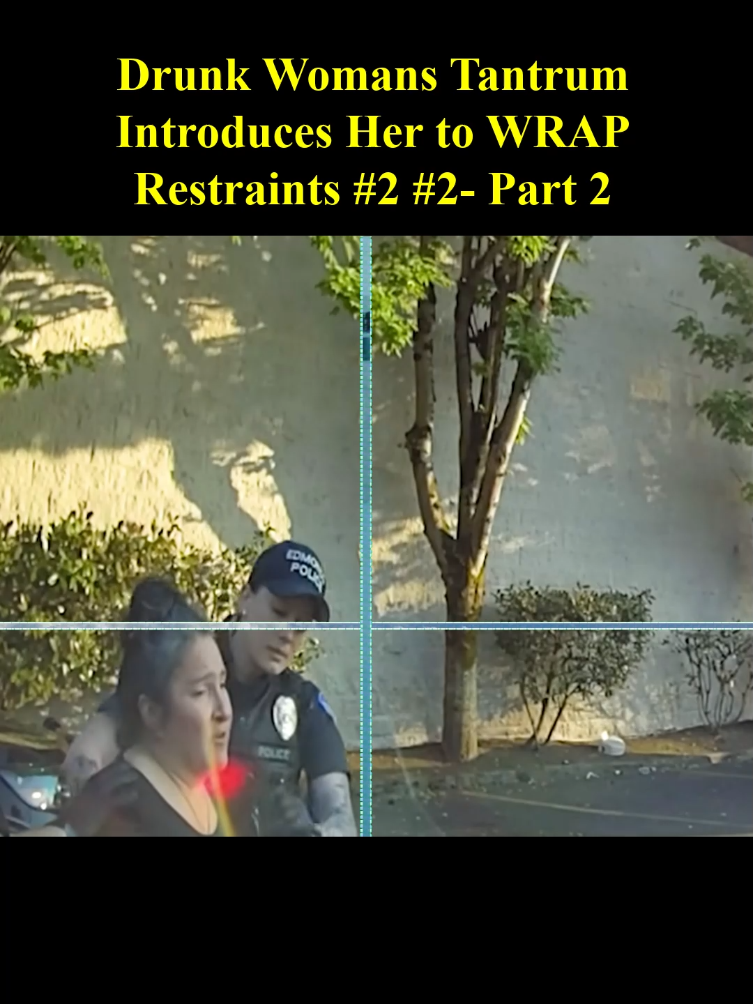 Drunk Woman's Tantrum Introduces Her to WRAP Restraints  #2 #2