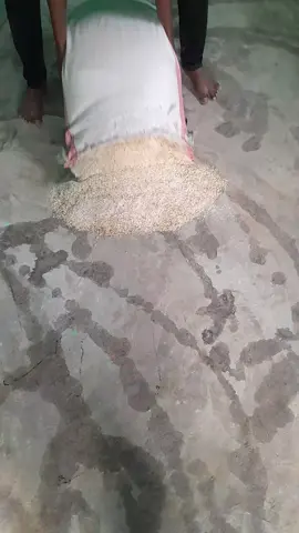Nala so xiriir si aan kaga cawino