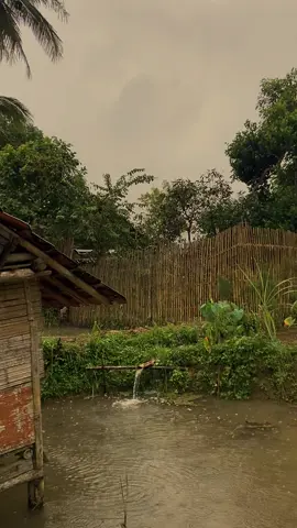 suasana saung sawah di kp #pemudanostalgia #saung #sawah #jamandulu #nostalgia90an 