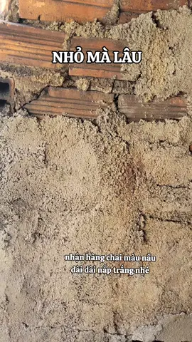 có kèm HDSD CHI TIẾT