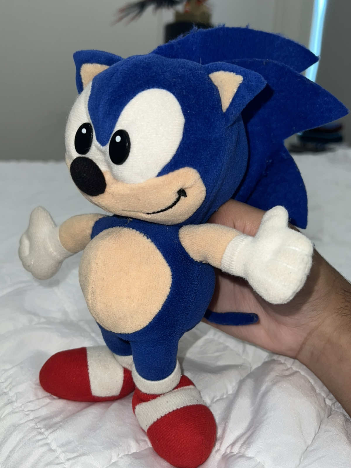 I have to leave vacation just to go back to school😭#bluepikmin #sonic #sonicplush #sega #animation #goofyahh #cute #fypシ #fypシ゚viral #foryoupage