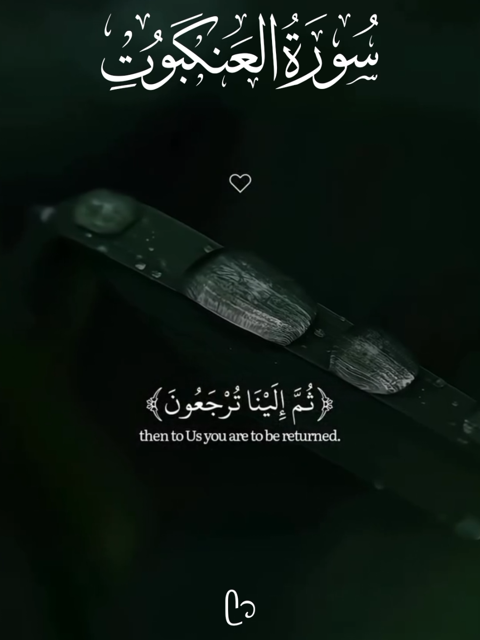 Surah Ankabut 🕋  #QuranRecitation #HolyQuran #WordsOfAllah #PeacefulRecitation #HeartSoothing #QuranVerses #IslamicReminder #MashaAllah #Alhamdulillah #SpiritualHealing #Tilawat #VoiceOfQuran #fyp #viral #unfreeze #usa #fypシ 