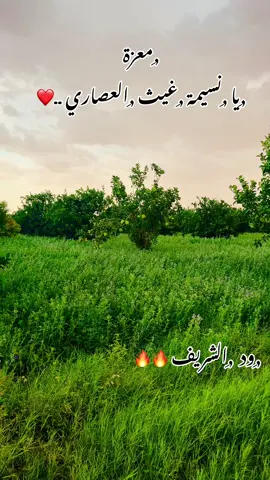 معزة✨❤️#عبد_الله_الشريف💙💙 #الزيداب_نهر_النيل #عطبرة_نهر_النيل💛✊ #سودانيز_تيك_توك #تصويري📸 #جخو،الشغل،دا،يا،عالم،➕_❤_📝 