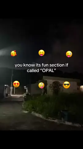 #sectionopal! #fyp #fyp #fyp #fyppppppppppppppppppppppp 