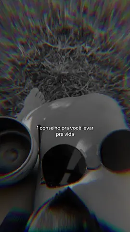 Vida