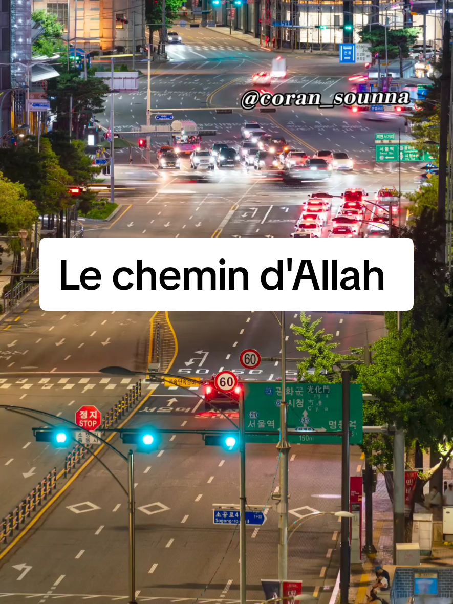 ✨ Cette vidéo est destinée à toutes celles et ceux qui traversent des épreuves, qui se sentent parfois perdu(e)s ou éloigné(e)s… pour te rappeler que tu n’es jamais seul(e) : Allah est toujours avec toi. 💛 Peu importe les erreurs, les chutes ou les détours… le chemin le plus sûr et le plus beau reste toujours celui qu’Allah عز وجل a choisi pour toi. 🌿 Quand on ne sait plus où aller, la meilleure solution est de revenir à Lui, de Lui confier nos peurs, nos fautes et nos espoirs. Parce qu’Il est Le Plus Miséricordieux, et que chaque retour vers Lui est un pas vers la paix du cœur. #musulman  #musulmandefrance🇨🇵  #rappel 